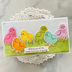 Feathered Friends Mini 20 Mini Stamp Set