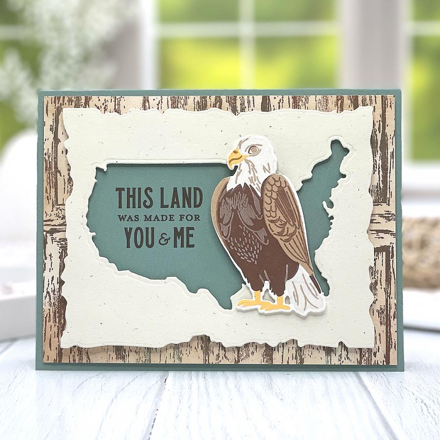 Wood Plank Background Stamp Set