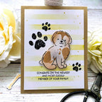 Paw Prints Stamp Set