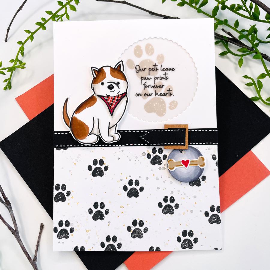 Paw Prints Stamp Set