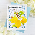 Main Squeeze Stamp Set