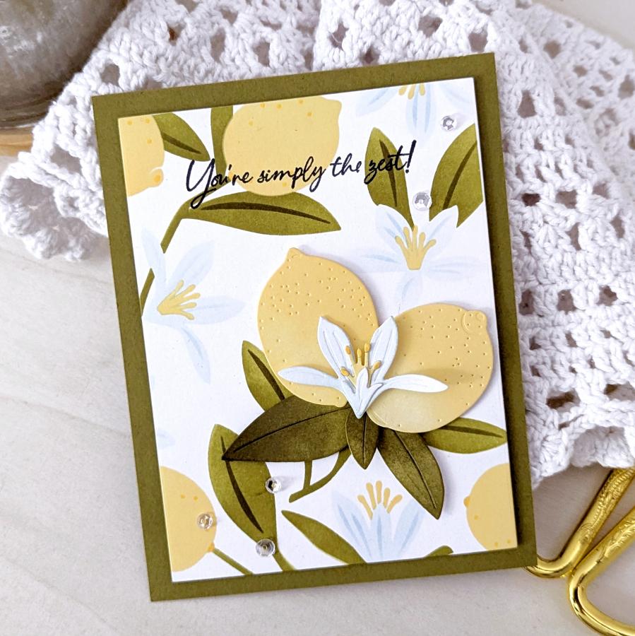 Main Squeeze Stamp Set
