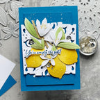 Main Squeeze Stamp Set
