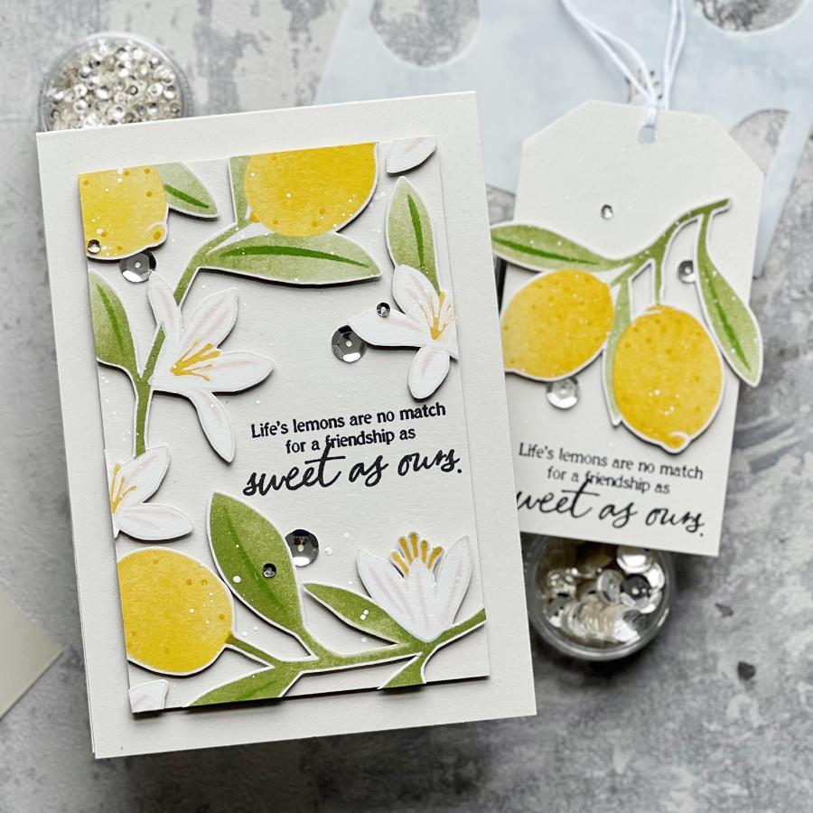 Main Squeeze Stamp Set