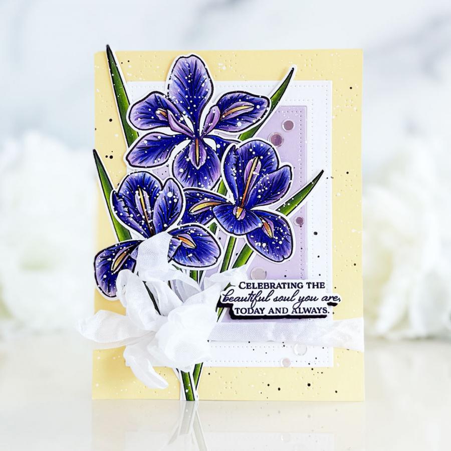 Winter Iris Stamp Set
