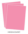 Perfect Match Hibiscus Burst Premium Cardstock (24 sheets)