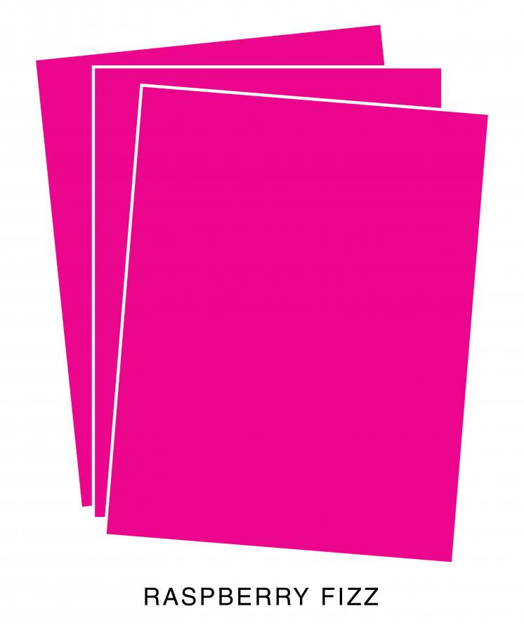 Perfect Match Raspberry Fizz Premium Cardstock (12 sheets)
