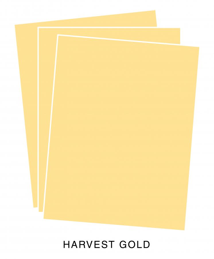 Perfect Match Harvest Gold Premium Cardstock (12 sheets)