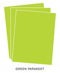 Perfect Match Green Parakeet Premium Cardstock (12 Sheets)