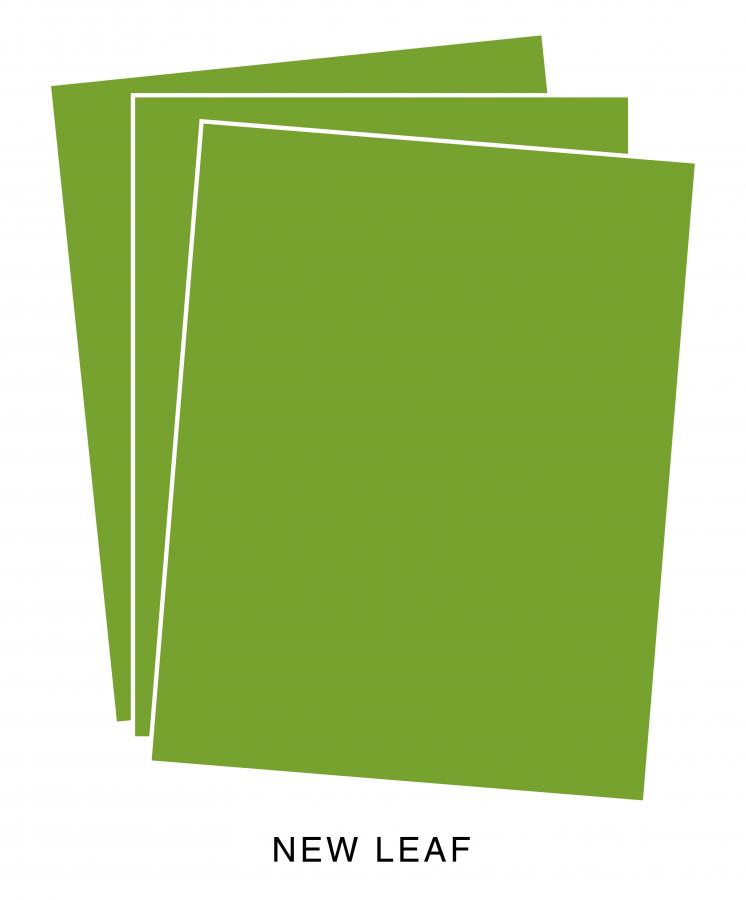 Perfect Match New Leaf Premium Cardstock (50 sheets)