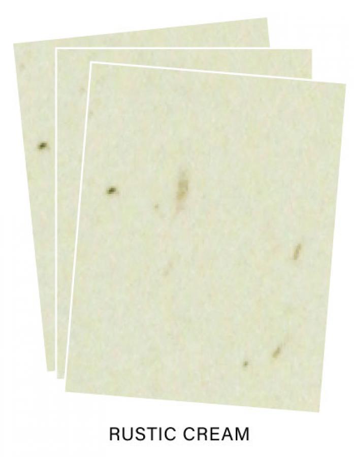 Paper Basics - Rustic Cream Premium Cardstock (50 Sheets)