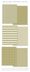 Bitty Big: Prairie Grass Color Collection (24 sheets)