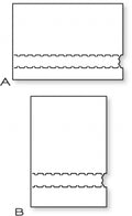 Papertrey Ink - Movers & Shakers: Zippers Die Collection (set of 2)