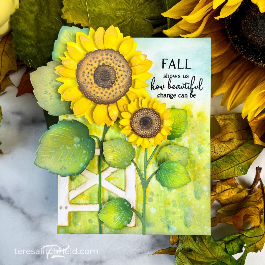 Into the Blooms: Sunflowers Die