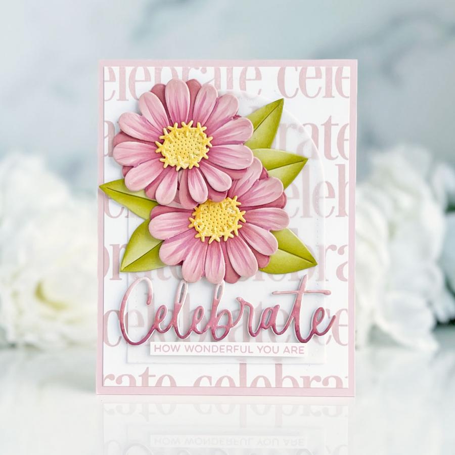 This is Big Sentiments: Celebrate Die