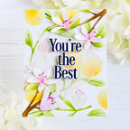 This is Big Sentiments: You're the Best Die
