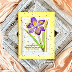 In Frames: Rectangles Die