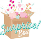 June 2023 Surprise Box