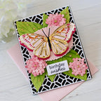 Build-A-Butterfly Stencil Collection (set of 4)
